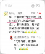 蔬菜種子種植戶客戶點(diǎn)評(píng)-“氣死白糖，甜過初戀”，您知道或體驗(yàn)過這句話嗎